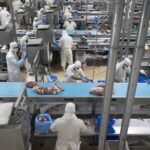 crecio-mas-del-30%-el-ingreso-de-dolares-en-el-primer-bimestre-del-ano-por-las-exportaciones-de-carne-vacuna
