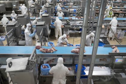 crecio-mas-del-30%-el-ingreso-de-dolares-en-el-primer-bimestre-del-ano-por-las-exportaciones-de-carne-vacuna