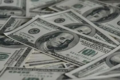 analistas-anticipan-un-ajuste-gradual-del-dolar-en-los-proximos-meses