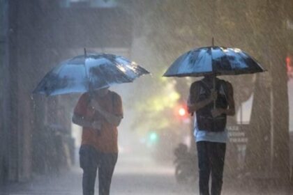 tras-el-intenso-temporal-que-azoto-misiones:-como-estara-el-tiempo-los-proximos-dias