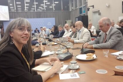 una-diputada-k-cuestiono-la-politica-atomica-del-gobierno-y-le-pasaron-factura-por-su-pasado-como-funcionaria:-“otro-elefante-blanco-del-kirchnerismo”
