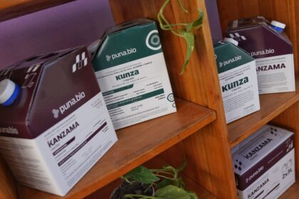 que-hace-la-unica-empresa-argentina-elegida-como-la-mas-innovadora-de-la-region-en-2026