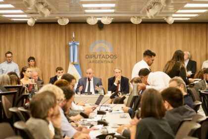 con-una-fuerte-pelea-entre-el-oficialismo-y-la-oposicion-arranca-este-miercoles-la-audiencia-por-la-ley-de-glaciares
