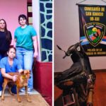 detuvieron-al-hombre-filmado-arrastrando-a-un-perro-en-san-ignacio:-el-hecho-genero-indignacion-y-una-rapida-respuesta-policial