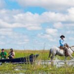 esteros-del-ibera-y-el-parana:-los-destinos-que-impulsaron-el-turismo-en-corrientes-este-24-de-marzo