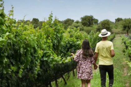 dormir-entre-vinedos:-la-apuesta-de-posada-&-bodega-la-matilde-para-visitar-traslasierra-en-temporada-baja