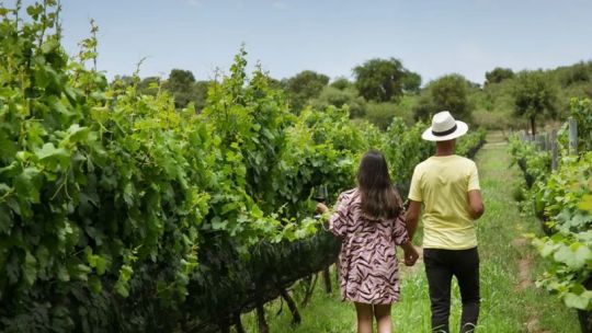 dormir-entre-vinedos:-la-apuesta-de-posada-&-bodega-la-matilde-para-visitar-traslasierra-en-temporada-baja