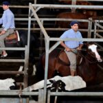 la-carne-encuentra-un-techo:-senales-de-freno-tras-los-precios-record-de-la-hacienda