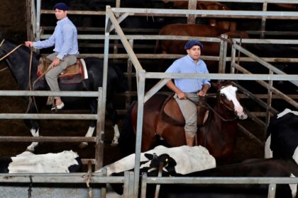 la-carne-encuentra-un-techo:-senales-de-freno-tras-los-precios-record-de-la-hacienda