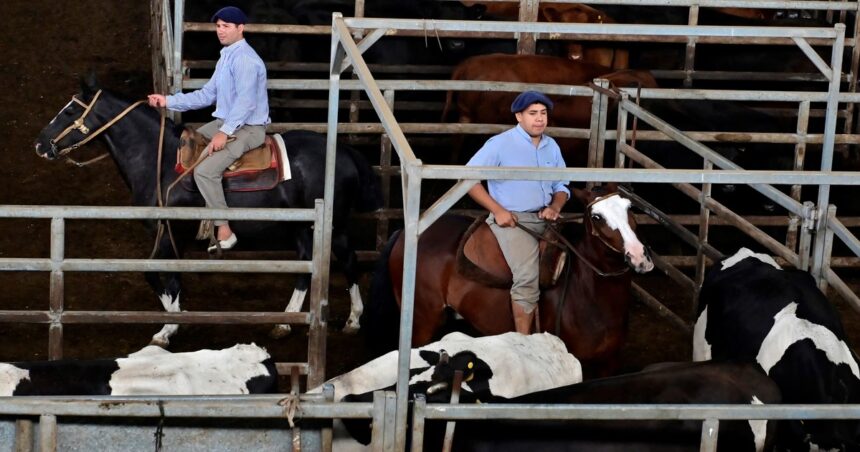 la-carne-encuentra-un-techo:-senales-de-freno-tras-los-precios-record-de-la-hacienda