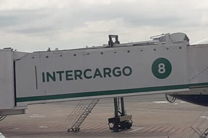 privatizaciones:-el-gobierno-informo-como-sera-el-proceso-para-la-venta-de-intercargo