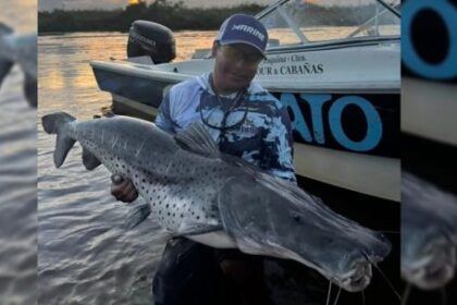 un-surubi-de-43-kilos-en-el-paraiso-correntino-que-no-deja-de-sorprender