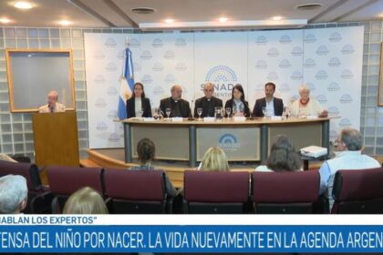 contra-el-aborto:-senadores-libertarios-quieren-volver-a-poner-“la-vida”-en-agenda