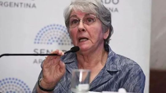 marta-maffei-sobre-la-audiencia-publica-por-los-glaciares:-“la-organizacion-no-fue-buena”