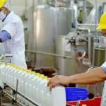 cual-es-la-actualidad-de-la-industria-lactea