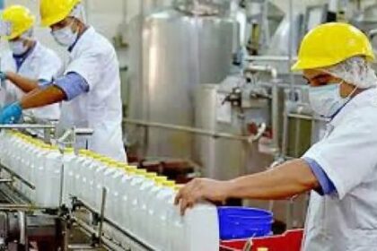 cual-es-la-actualidad-de-la-industria-lactea