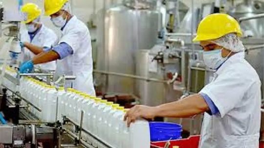 cual-es-la-actualidad-de-la-industria-lactea