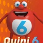 quini-6-siempre-sale:-un-apostador-de-corrientes-gano-mas-de-$266-millones