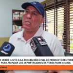 yerba-mate-|-empresario-de-andresito-pagara-$350-el-kilo-de-hoja-verde:-“es-el-precio-justo-para-poder-exigir-calidad”