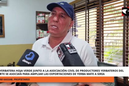 yerba-mate-|-empresario-de-andresito-pagara-$350-el-kilo-de-hoja-verde:-“es-el-precio-justo-para-poder-exigir-calidad”