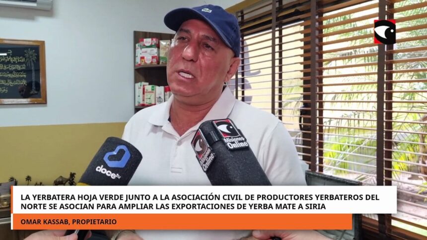 yerba-mate-|-empresario-de-andresito-pagara-$350-el-kilo-de-hoja-verde:-“es-el-precio-justo-para-poder-exigir-calidad”