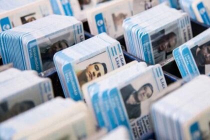 san-ignacio-exigira-capacitacion-en-rcp-para-obtener-y-renovar-la-licencia-de-conducir
