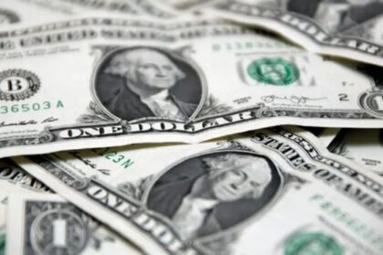 “el-gobierno-viene-comprando-dolares,-pero-el-problema-es-que-lo-que-compra-va-al-pago-de-deudas”