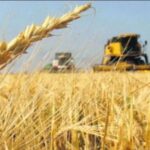 la-actividad-economica-crecio-0,4%-en-enero-segun-el-indec