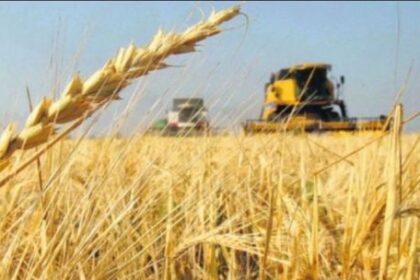 la-actividad-economica-crecio-0,4%-en-enero-segun-el-indec
