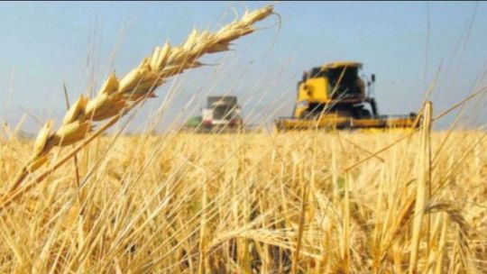 la-actividad-economica-crecio-0,4%-en-enero-segun-el-indec