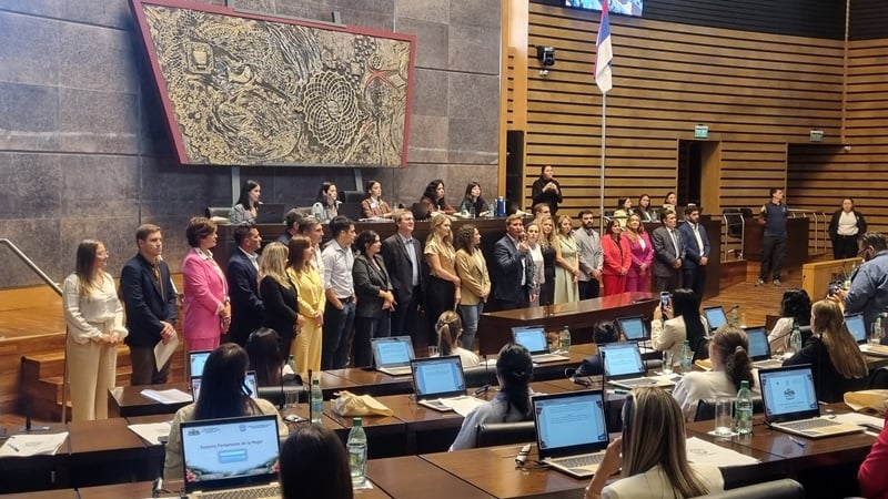 parlamento-de-la-mujer-2026:-presentaron-proyectos-sobre-educacion-financiera,-becas-y-regulacion-profesional-en-misiones