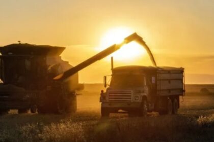 argentina’s-economy-grows-by-1.9%-in-january,-driven-by-agriculture-and-mining