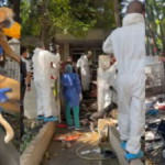 intervienen-polemica-casa-de-los-gatos-de-barranquilla:-decenas-de-animales-enfermos-y-agresivos-obligaron-a-operativo-sin-precedentes-en-la-ciudad