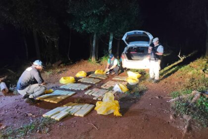 prefectura-incauto-mas-de-99-kilos-de-marihuana-en-san-javier-tras-persecucion