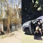 amenazo-a-un-prefecto-con-un-arma-de-juguete:-termino-muerto