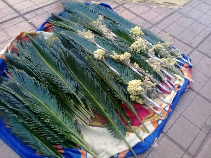 manana-se-celebra-el-domingo-de-ramos-en-la-iglesia-catolica-y-comienza-la-semana-santa-2026