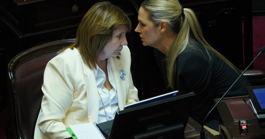 con-aval-de-patricia-bullrich-el-senado-reflota-un-proyecto-para-agravar-penas-por-denuncias-falsas
