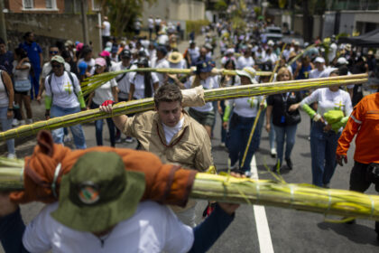 los-palmeros-de-chacao-bajaron-del-avila-con-palmas-para-el-domingo-de-ramos