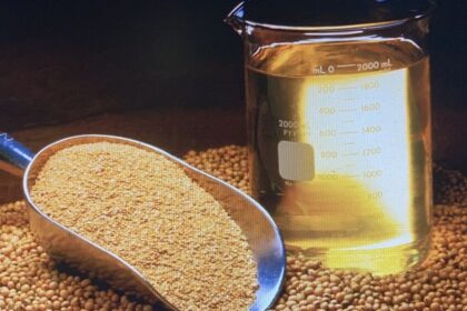 uno-de-los-principales-productos-de-exportacion-del-pais-subio-35%-en-lo-que-va-del-ano-y-alcanzo-precios-maximos-desde-mediados-de-2023