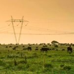 preservar-la-riqueza-de-nuestros-suelos:-la-nueva-frontera-del-agro-argentino