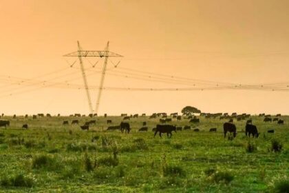 preservar-la-riqueza-de-nuestros-suelos:-la-nueva-frontera-del-agro-argentino