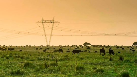 preservar-la-riqueza-de-nuestros-suelos:-la-nueva-frontera-del-agro-argentino