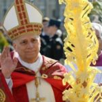 domingo-de-ramos:-el-papa-leon-xiv-pidio-en-su-mensaje-frenar-la-violencia-y-“deponer-las-armas”