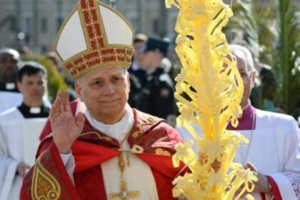 domingo-de-ramos:-el-papa-leon-xiv-pidio-en-su-mensaje-frenar-la-violencia-y-“deponer-las-armas”