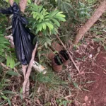 garupa-|-despliegan-un-amplio-operativo-para-encontrar-a-un-pescador-desaparecido:-hallaron-su-canoa-y-objetos-personales