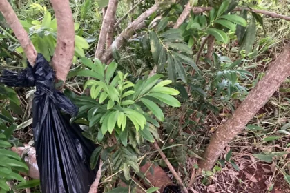 garupa-|-despliegan-un-amplio-operativo-para-encontrar-a-un-pescador-desaparecido:-hallaron-su-canoa-y-objetos-personales