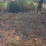 bomberos-de-puerto-iguazu-sofocaron-un-incendio-de-pastizales-proximo-a-una-vivienda