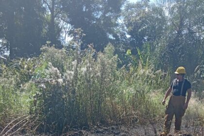 bomberos-de-puerto-iguazu-sofocaron-un-incendio-de-pastizales-proximo-a-una-vivienda