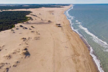 ni-carilo-ni-pinamar:-la-playa-con-bosques-de-pinos-ideal-para-viajar-en-semana-santa