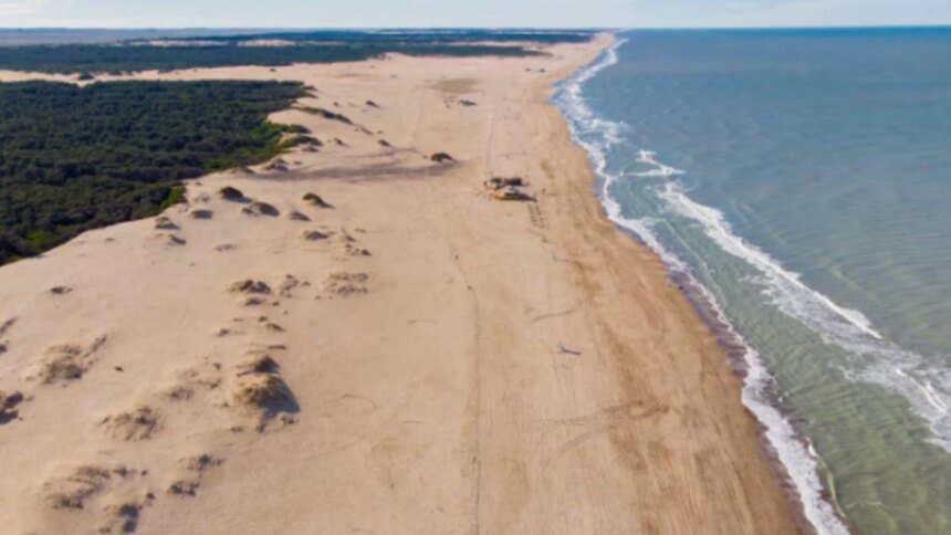 ni-carilo-ni-pinamar:-la-playa-con-bosques-de-pinos-ideal-para-viajar-en-semana-santa